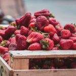 johnny-martinez-lBIFDzYwbDo-unsplash